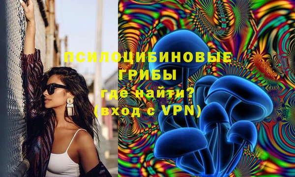 тгк Вяземский