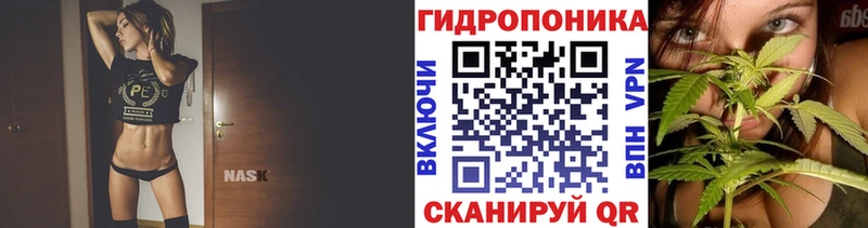 Бошки Шишки сатива  darknet официальный сайт  Дзержинск  kraken зеркало 